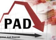 Tingkatkan PAD Melalui Sektor Strategis, Bapenda Kukar Targetkan PAD 953 Milyar