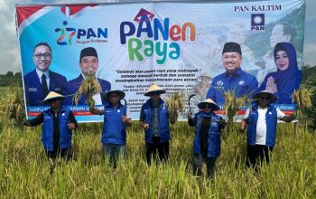 Dukung Swasembada Pangan, DPW PAN Kaltim Gelar Panen Raya di Kabupaten Kutai Kartanegara.