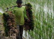 BPS Temukan 5,81 Persen Rumah Tangga Petani Kaltim Masih Hidup Miskin