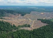 Target Samarinda Bebas Tambang 2026 Ada Hambatan Perizinan