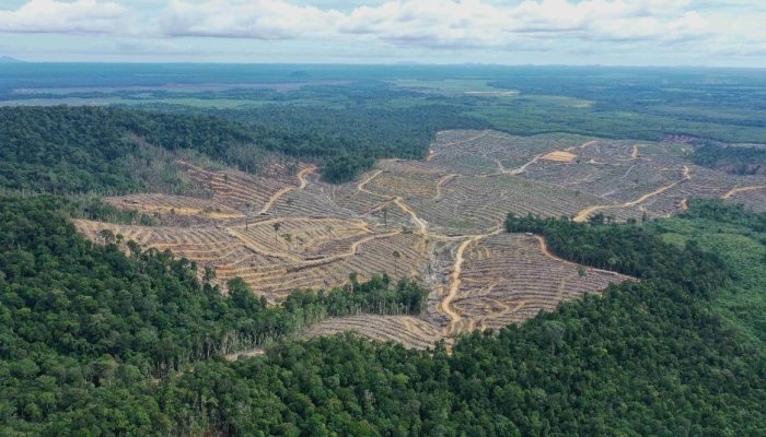 Target Samarinda Bebas Tambang 2026 Ada Hambatan Perizinan