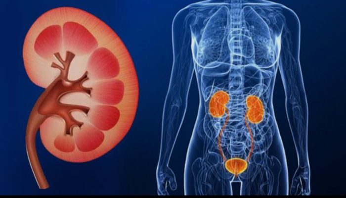 Kasus Gagal Ginjal Melonjak Tajam, Beban BPJS Kesehatan Kini Lampaui Penyakit Kanker