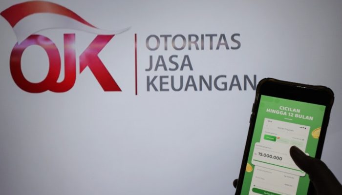 OJK Mobilisasi Pembiayaan Program Prabowo Lewat Industri Fintech dan Multifinance